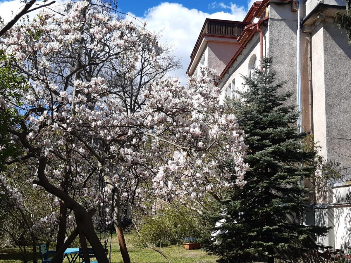 Przy Lipowej * Sopot
